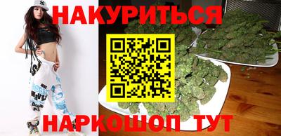 крисы Кингисепп