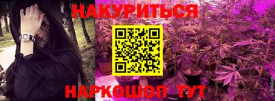 крисы Кингисепп