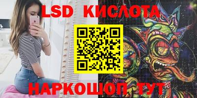 крисы Кингисепп