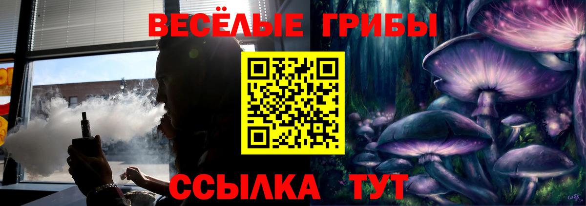 купить наркотик  Галлюциногенные грибы Psilocybe  Псилоцибиновые грибы ЛСД  Вход с VPN  Киселёвск 