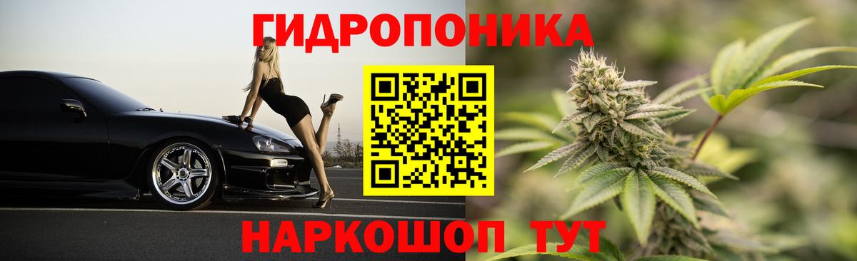 Шишки марихуана семена  Бошки Шишки VHQ  Вход с VPN  Марихуана семена  Киселёвск 